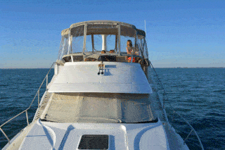 An afternoon cruise in Anchor Bay